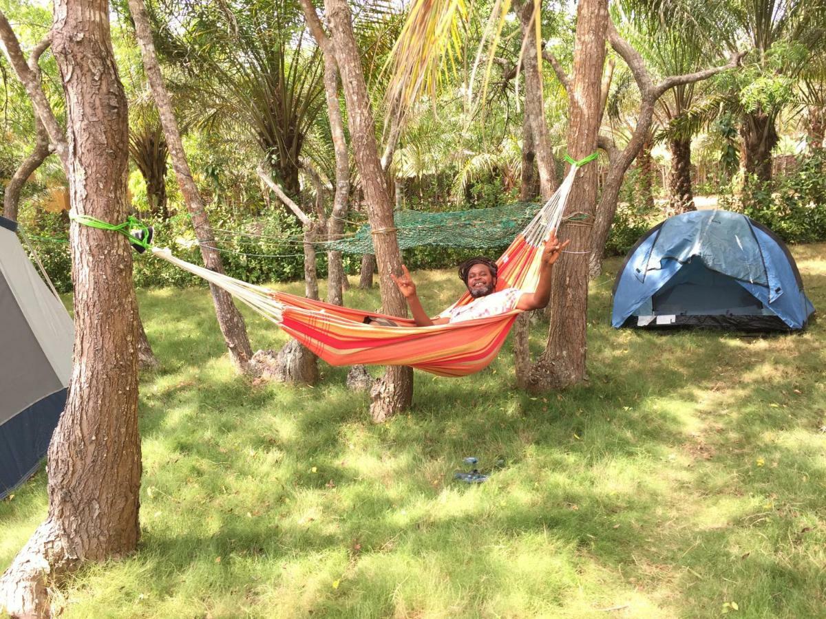 Ampeni Twitter Paradise מראה חיצוני תמונה